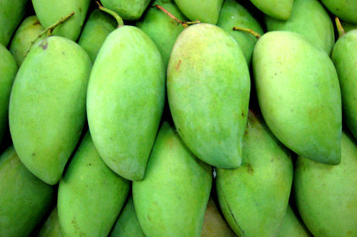 Mango (మామిడి)